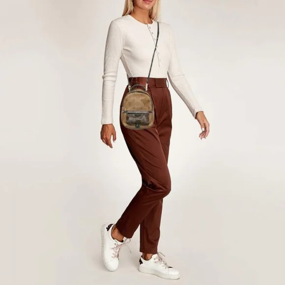 Louis Vuitton Monogram Reverse Canvas Mini Palm Spring Backpack Brown - Picture 5 of 16